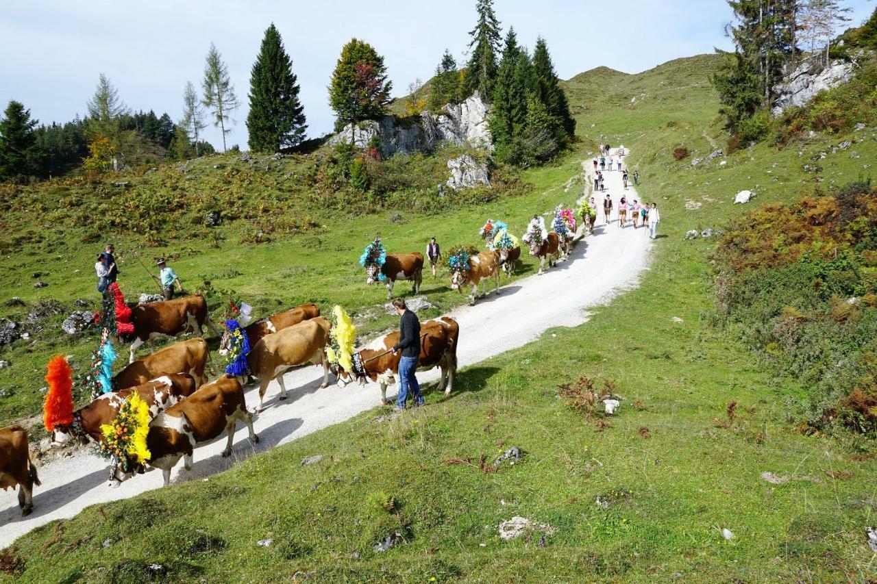 Ferienwohnung Julia Brixen im Thale Dış mekan fotoğraf
